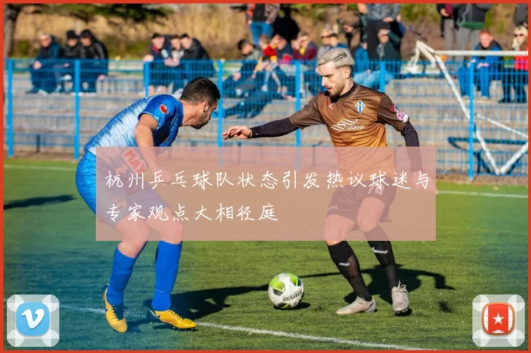 杭州乒乓球队状态引发热议球迷与专家观点大相径庭