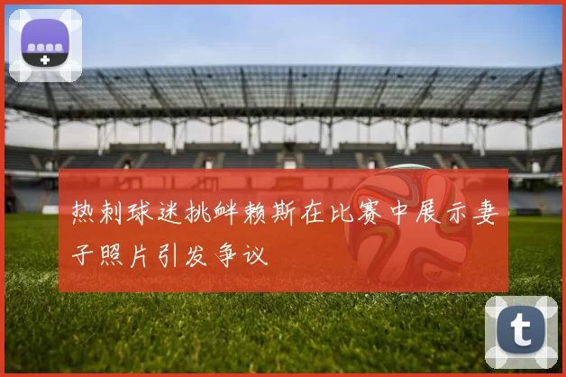 热刺球迷挑衅赖斯在比赛中展示妻子照片引发争议
