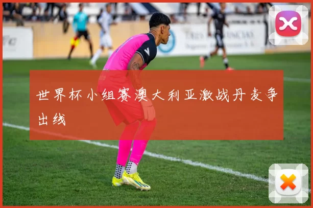 世界杯小组赛澳大利亚激战丹麦争出线