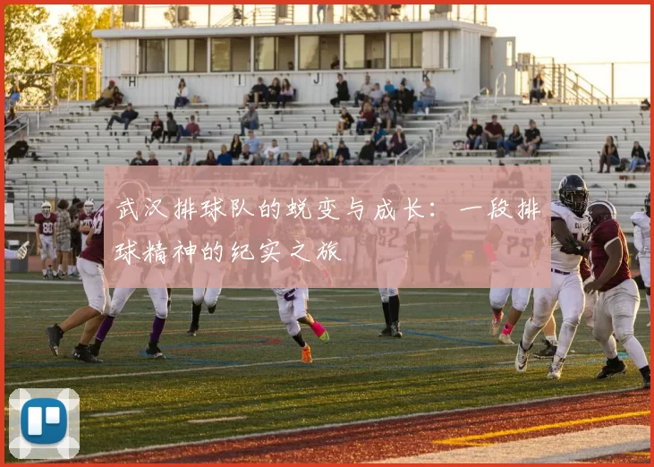 武汉排球队的蜕变与成长：一段排球精神的纪实之旅