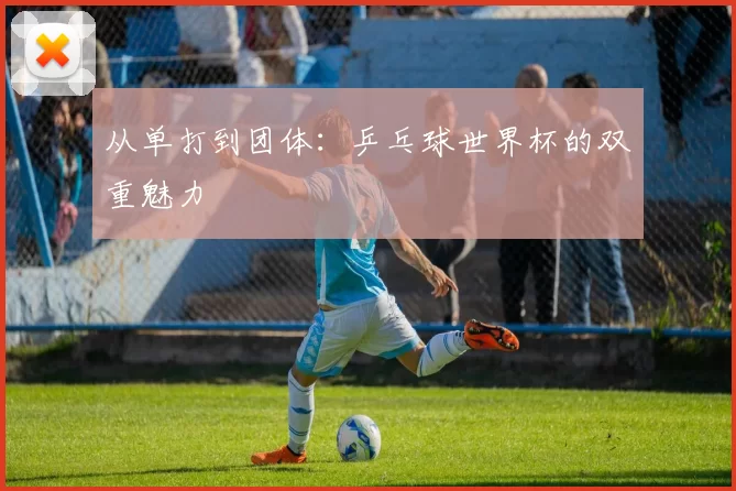 从单打到团体:乒乓球世界杯的双重魅力