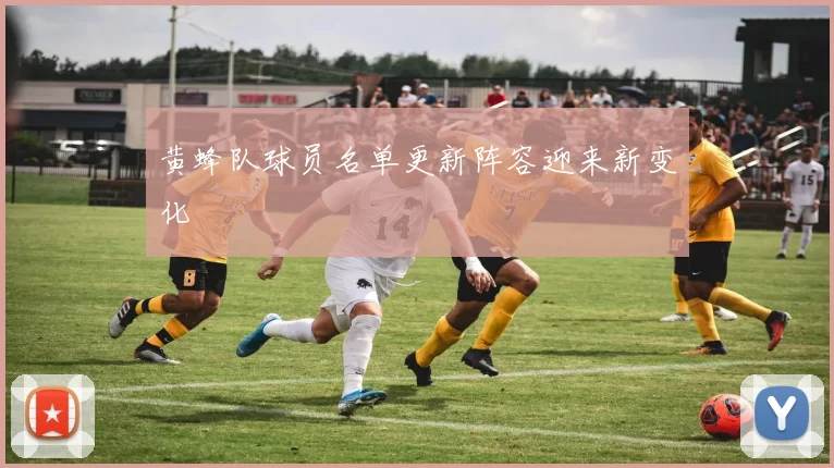 黄蜂队球员名单更新阵容迎来新变化