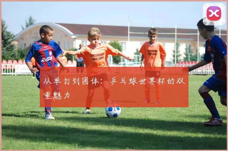 从单打到团体：乒乓球世界杯的双重魅力