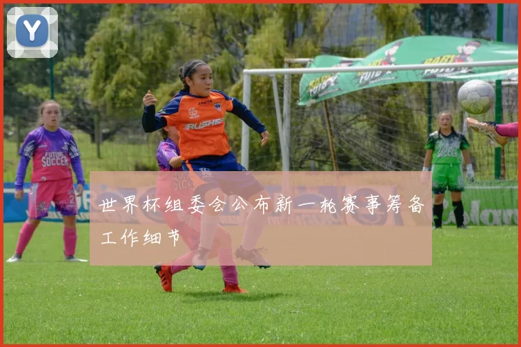 世界杯组委会公布新一轮赛事筹备工作细节