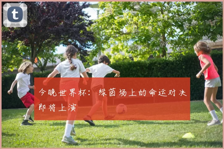 今晚世界杯:绿茵场上的命运对决即将上演