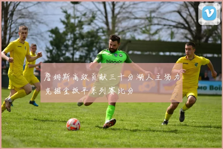 詹姆斯高效贡献三十分湖人主场力克掘金扳平系列赛比分