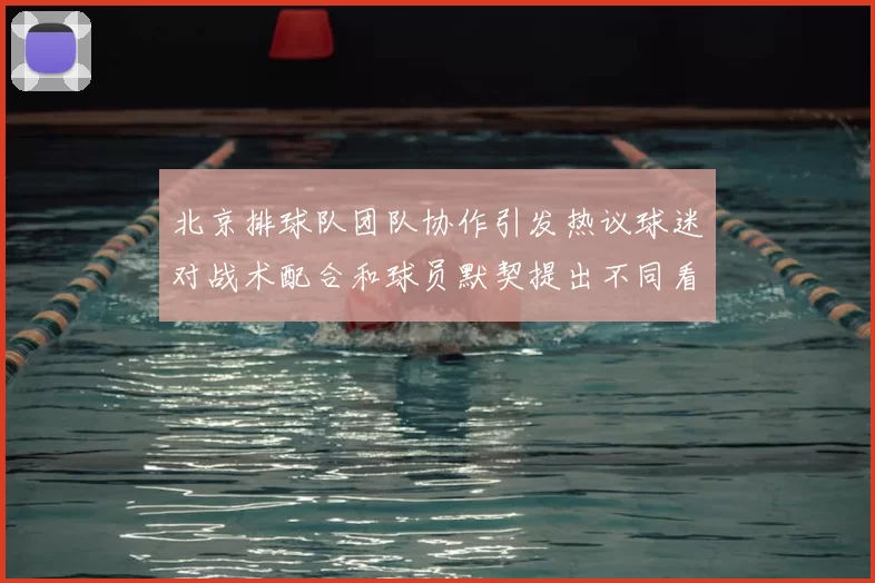 北京排球队团队协作引发热议球迷对战术配合和球员默契提出不同看法