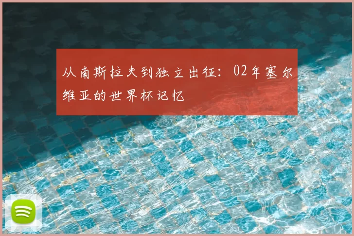 从南斯拉夫到独立出征:02年塞尔维亚的世界杯记忆