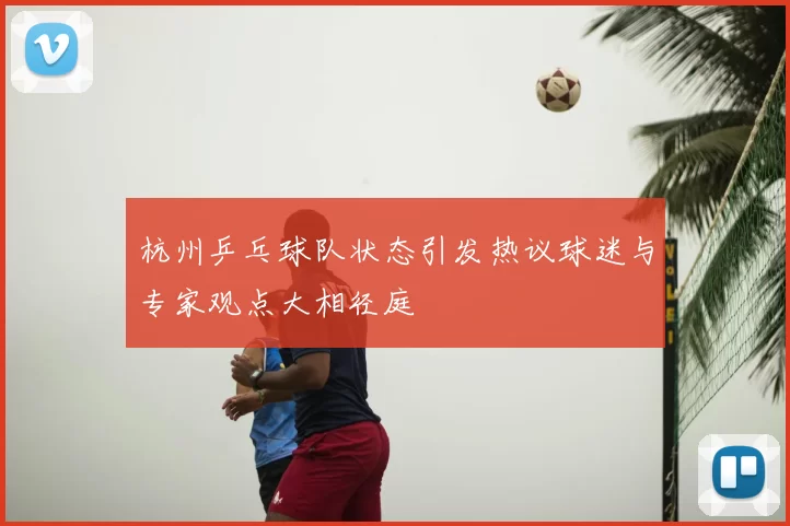 杭州乒乓球队状态引发热议球迷与专家观点大相径庭