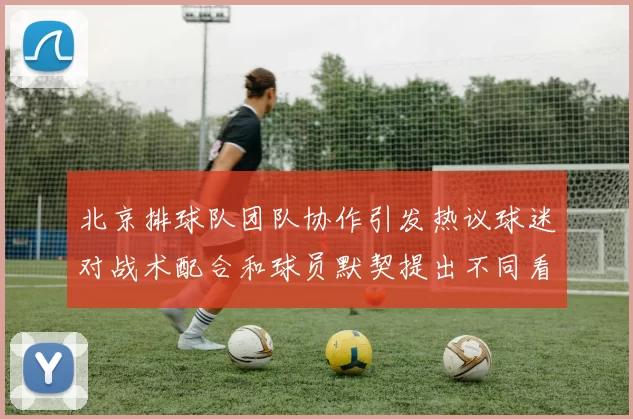 北京排球队团队协作引发热议球迷对战术配合和球员默契提出不同看法
