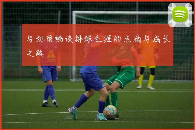 与刘丽畅谈排球生涯的点滴与成长之路